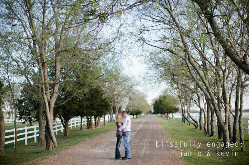 dallas farm engagements 01