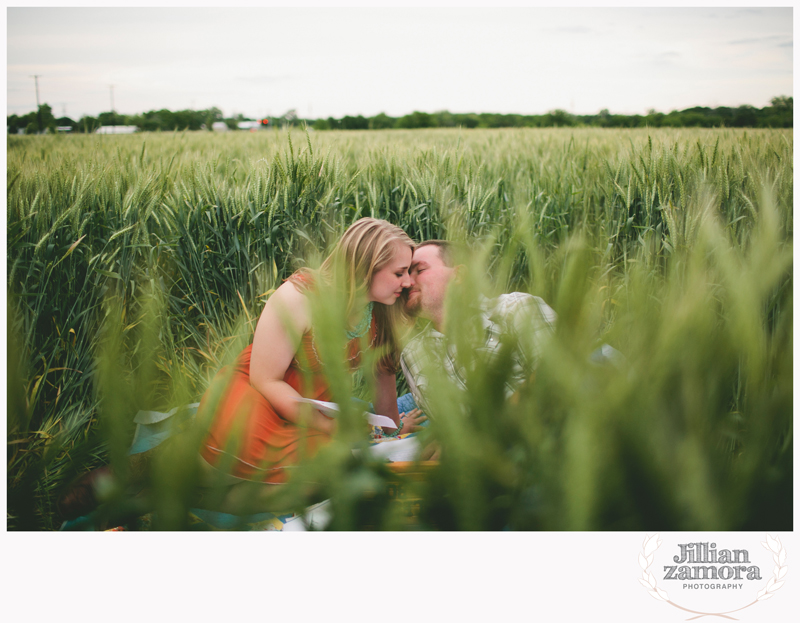 wheat field engagement15