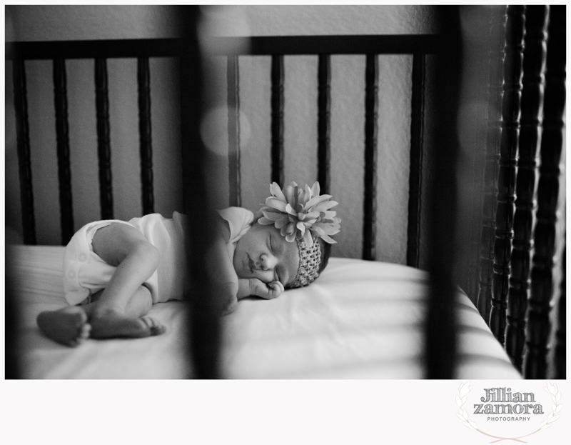 denton lifestyle newborn photography _ 07