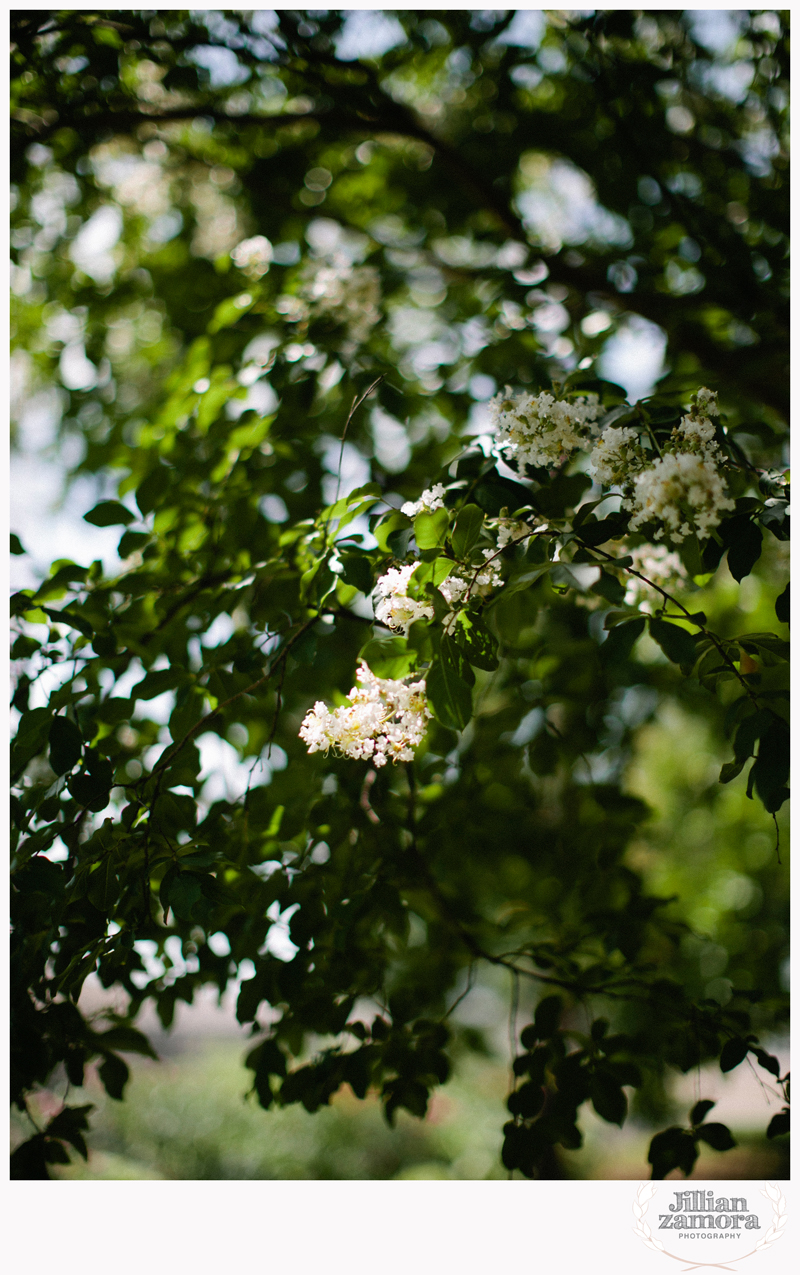 hickory street annex wedding photography_002