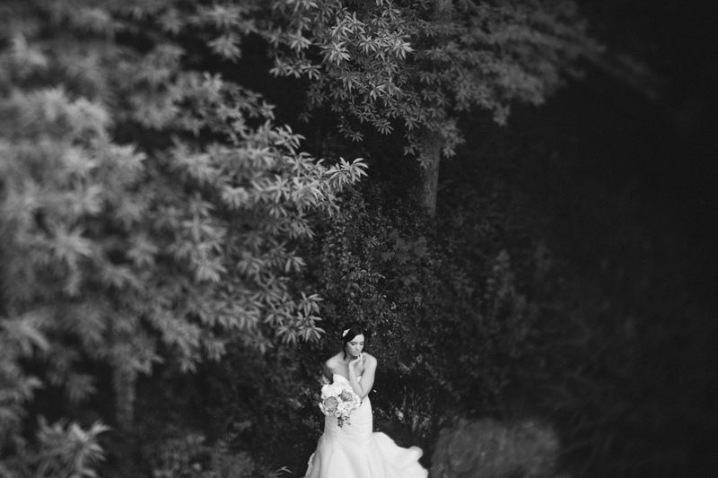 dallas bridal portraits _31