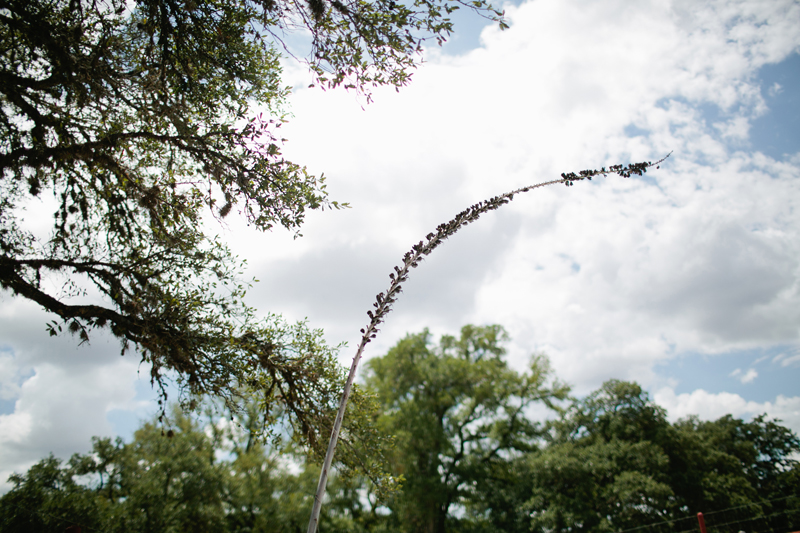 texas hill country wedding _002