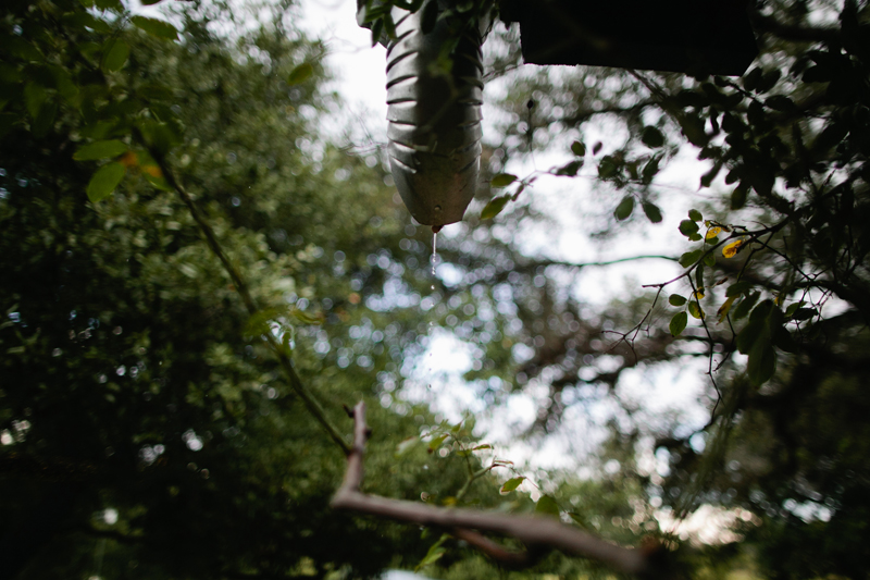 texas hill country wedding _073