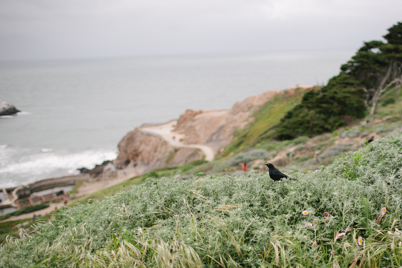 sutro bath engagements__03