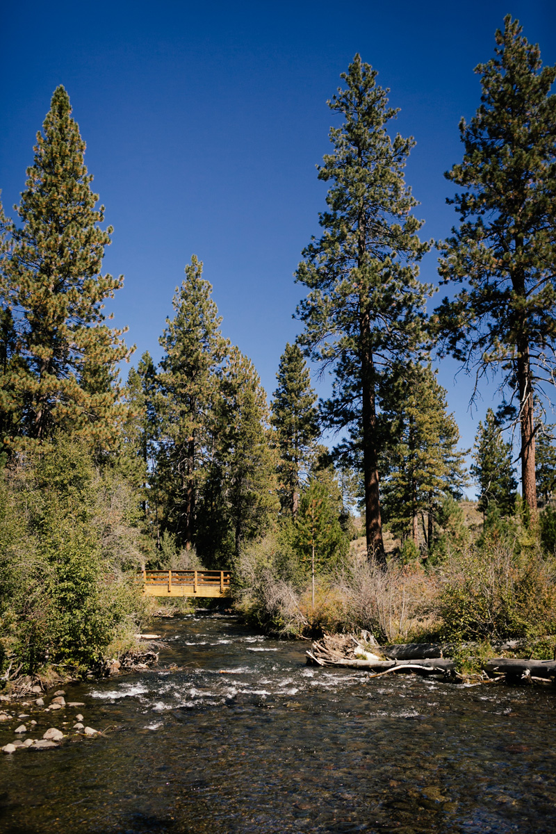 oregon-wedding-photographer_0050