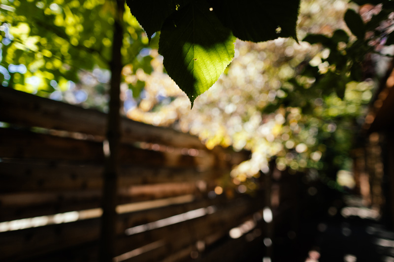 oregon-wedding-photographer_0136