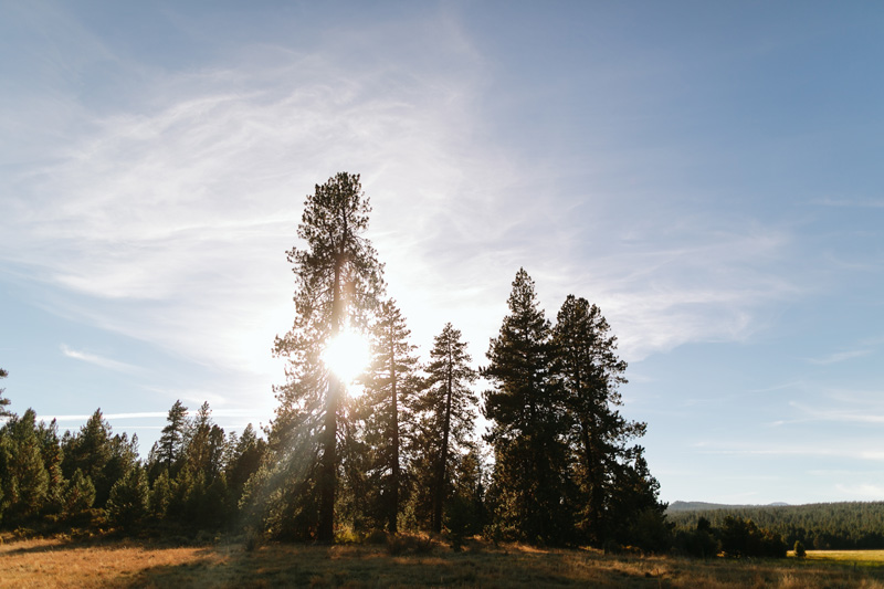 oregon-wedding-photographer_0245